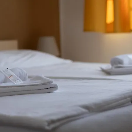 Fontana Pensjonat Podiebrady