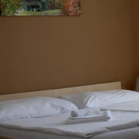 Pensjonat Fontana Podiebrady