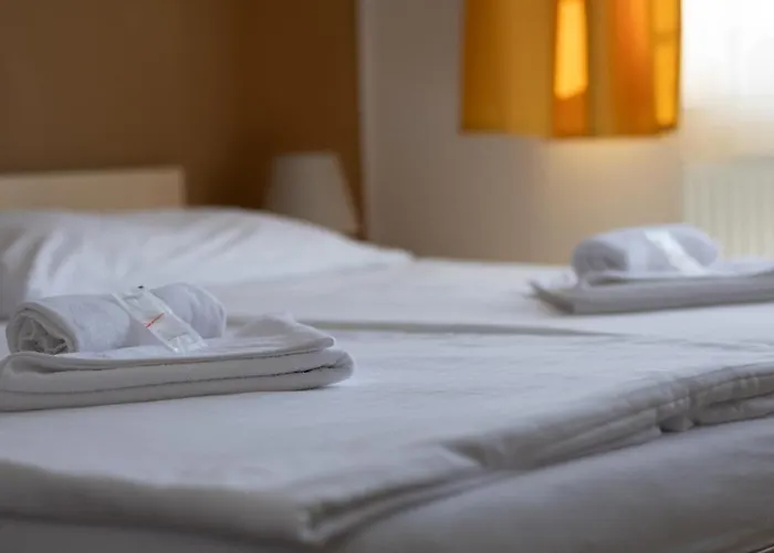 Fontana Guest house Podebrady