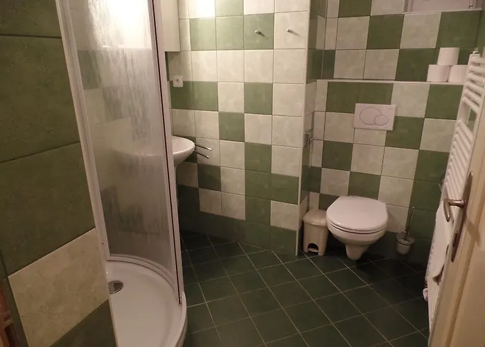 Guest house Fontana Podebrady